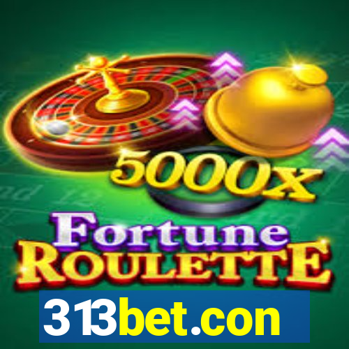 313bet.con