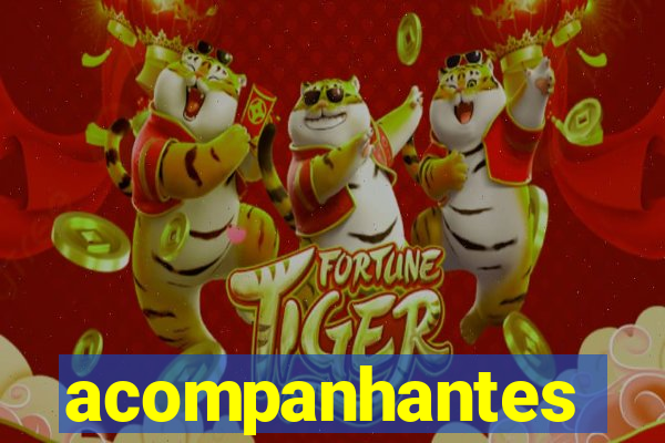 acompanhantes gordinhas santos