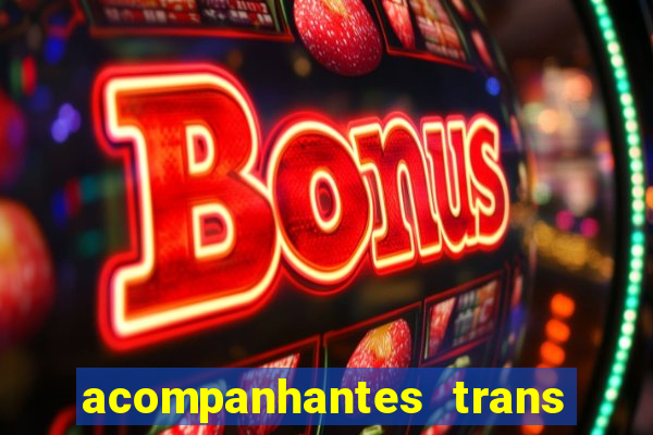 acompanhantes trans baixada fluminense