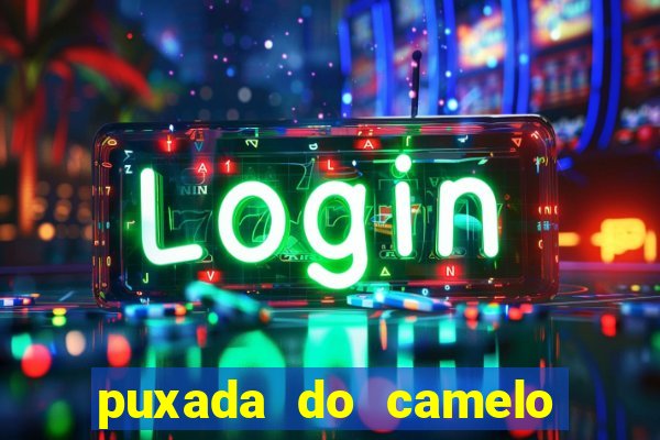 puxada do camelo no jogo do bicho