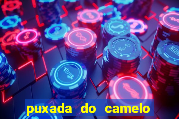 puxada do camelo no jogo do bicho