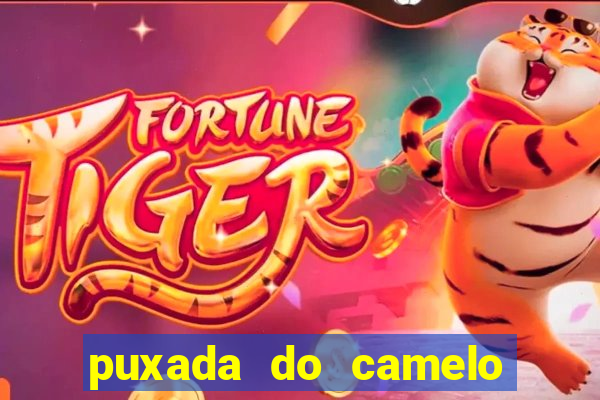puxada do camelo no jogo do bicho