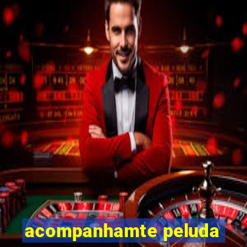 acompanhamte peluda