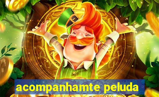 acompanhamte peluda