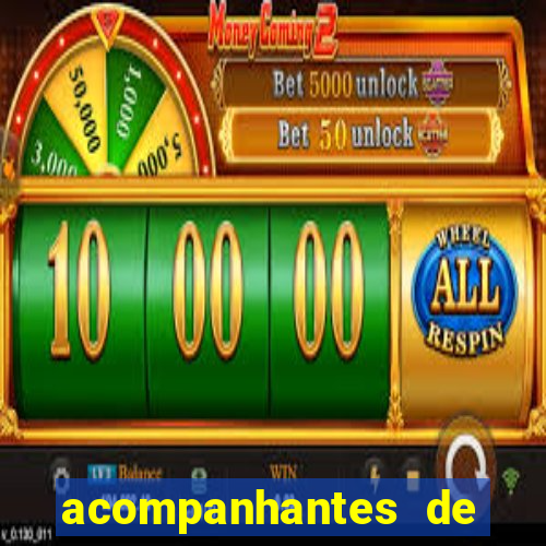 acompanhantes de juiz de fora