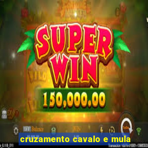 cruzamento cavalo e mula