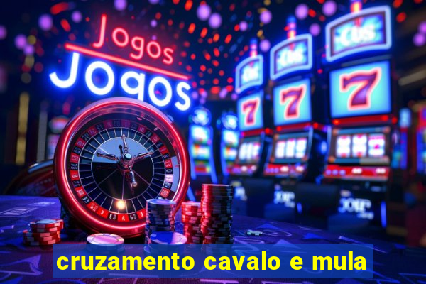 cruzamento cavalo e mula
