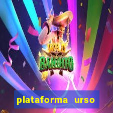 plataforma urso polar 777