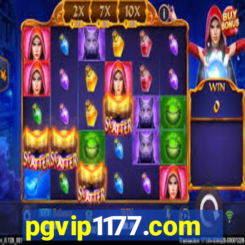 pgvip1177.com
