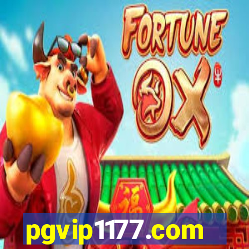 pgvip1177.com