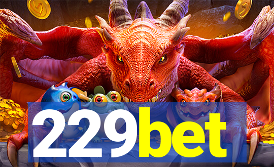 229bet