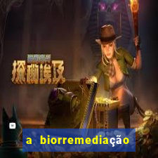 a biorremediação é uma tecnologia sustentável?