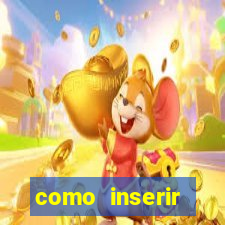 como inserir coordenadas no ide-sisema