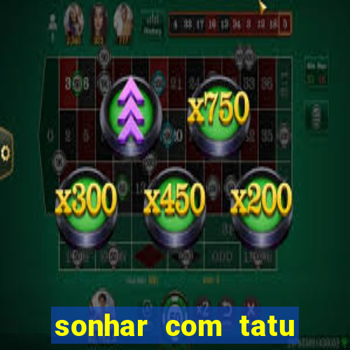 sonhar com tatu jogo do bicho