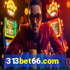 313bet66.com