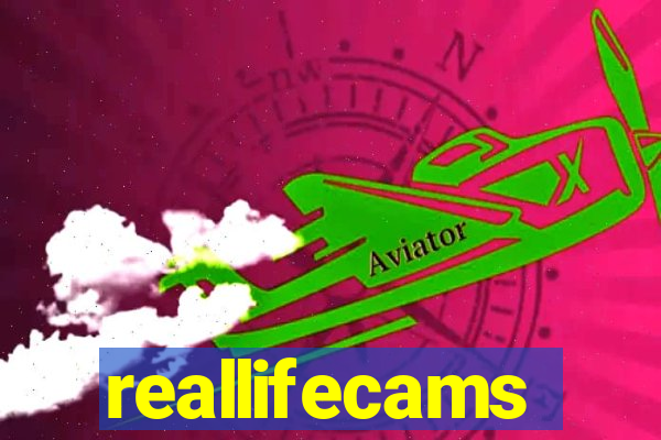 reallifecams