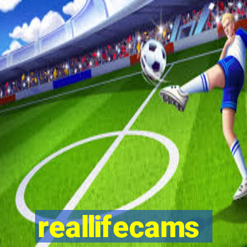 reallifecams