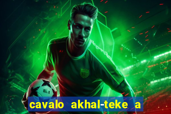 cavalo akhal-teke a venda no brasil cavalo akhal teke no