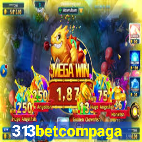 313betcompaga