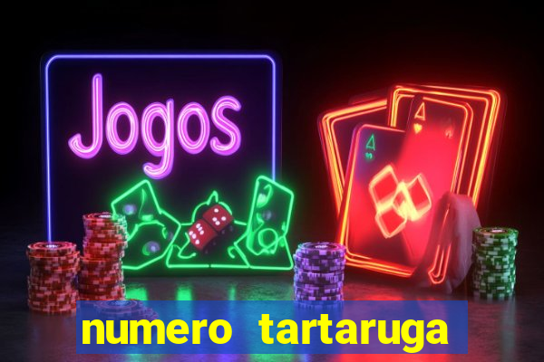 numero tartaruga jogo do bicho