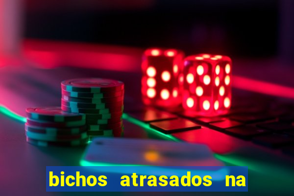 bichos atrasados na loteria federal