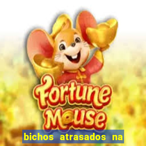 bichos atrasados na loteria federal