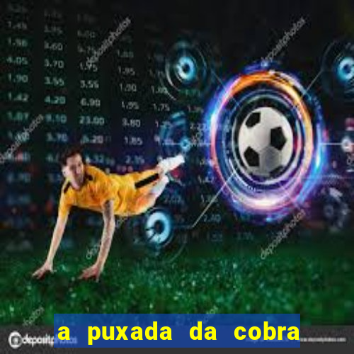 a puxada da cobra no jogo do bicho