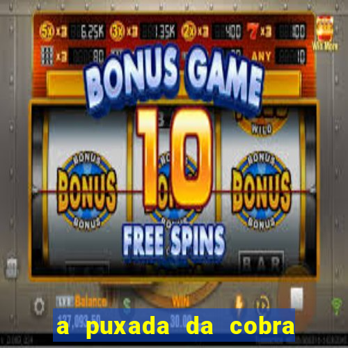a puxada da cobra no jogo do bicho