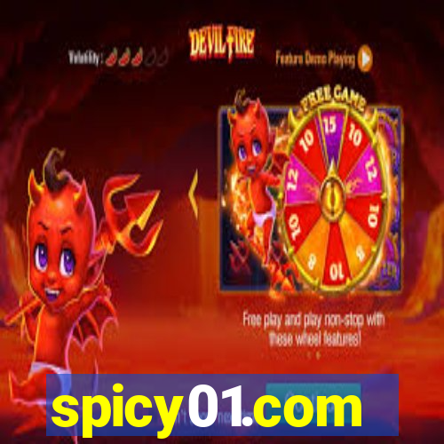 spicy01.com