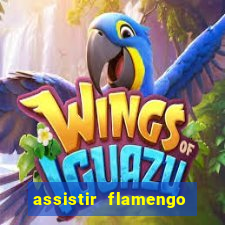 assistir flamengo futebol play hd
