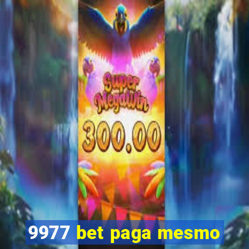 9977 bet paga mesmo