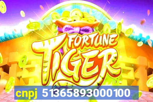 cnpj 51365893000100