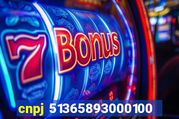 cnpj 51365893000100