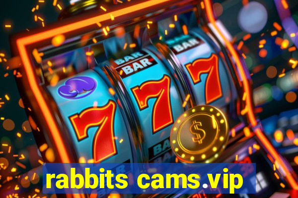rabbits cams.vip