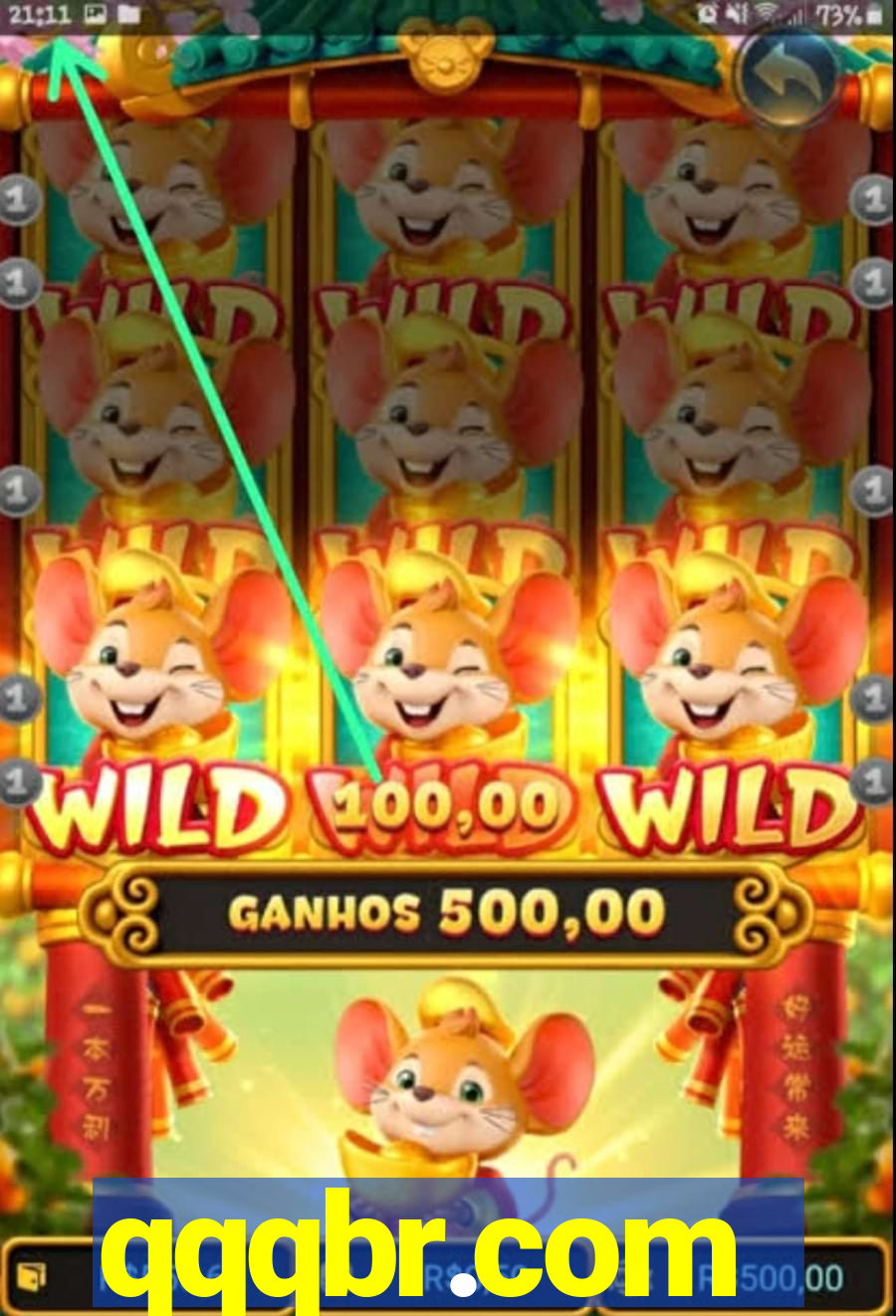 qqqbr.com