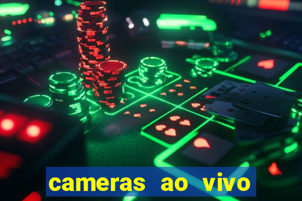 cameras ao vivo beto carrero