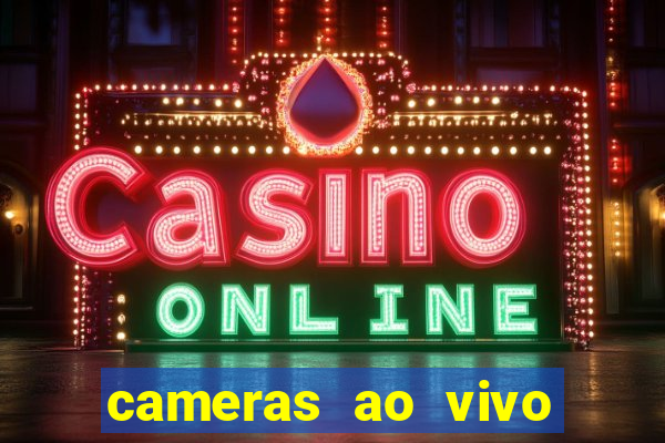 cameras ao vivo beto carrero