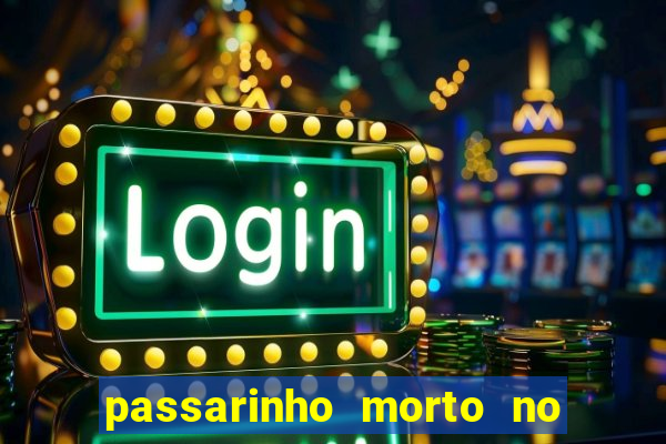 passarinho morto no quintal significado espiritual