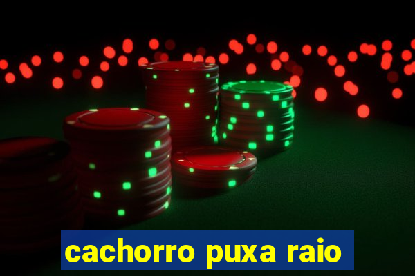 cachorro puxa raio