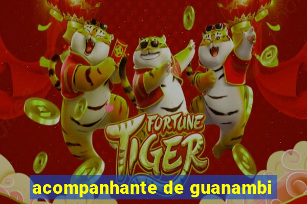 acompanhante de guanambi