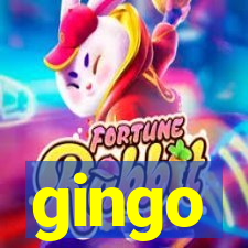 gingo