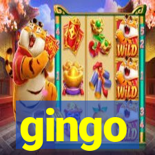 gingo