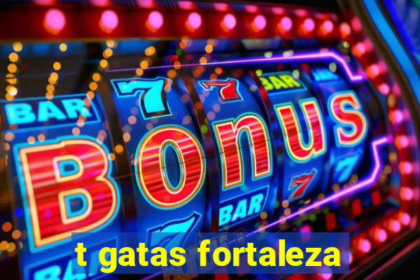 t gatas fortaleza
