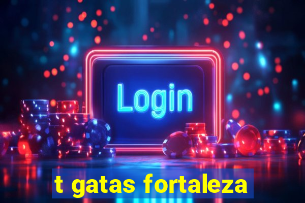 t gatas fortaleza