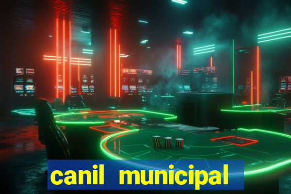 canil municipal porto alegre