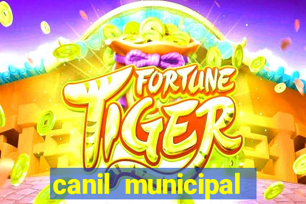 canil municipal porto alegre