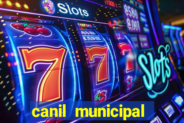 canil municipal porto alegre