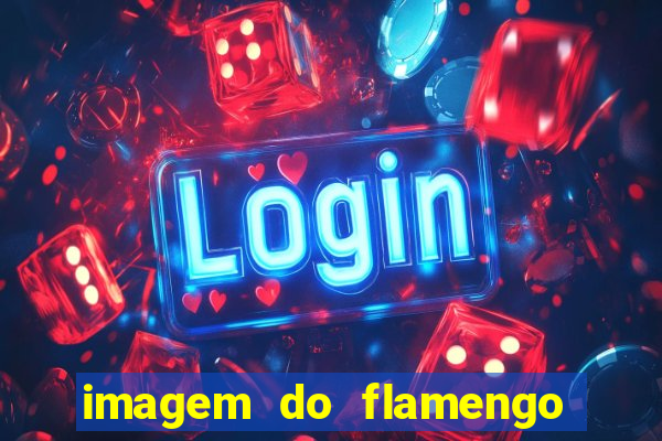 imagem do flamengo para perfil