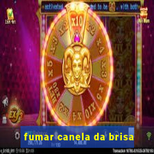 fumar canela da brisa