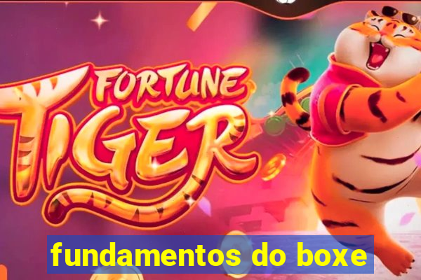 fundamentos do boxe